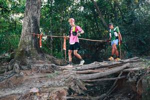 BIB: 
                            <button type="button" onclick="openModal(27306602)" class="btn btn-primary btn-sm float-right btn-popup" data-toggle="modal" data-target=".modal-high-quality">
                        <i class="fas fa-shopping-cart"></i> Add to Cart
                    </button>
                                            <button type="button" onclick="isThisMe(27306602, true)" class="btn btn-success btn-sm float-right btn-popup btn-isme hidden" data-toggle="tooltip" data-placement="bottom" title="นี่คือรูปของคุณใช่ไหม คลิกที่นี่เพื่อเอาเข้าอัลบั้ม">
                        <i class="fas fa-plus"></i> Add to album
                    </button>
                    <button type="button" onclick="isThisMe(27306602, false)" class="btn btn-warning btn-sm float-right btn-popup btn-isnotme hidden">
                        <i class="fas fa-ban"></i> Remove from album
                    </button>